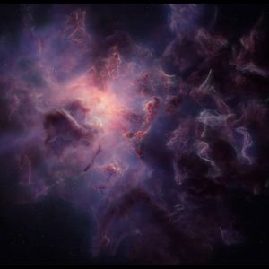 Meet your Posher, Ambermari